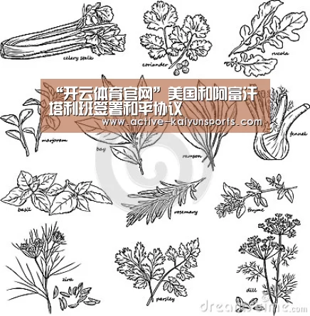 开云体育数据