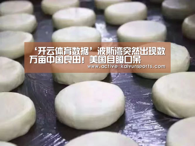 开云体育高清直播