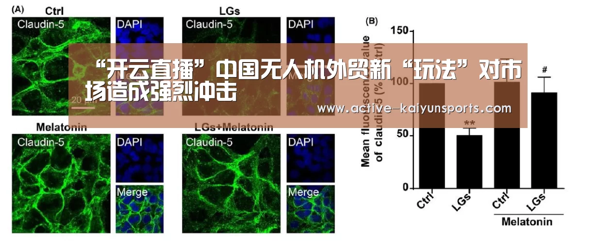 开云体育官网