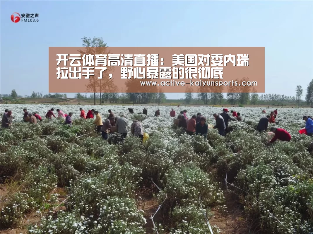 开云体育数据