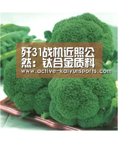 开云体育数据