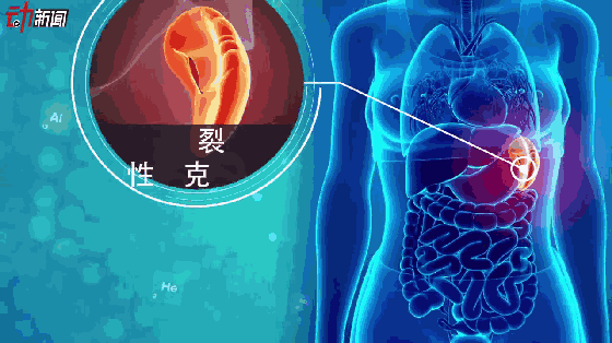 开云体育数据